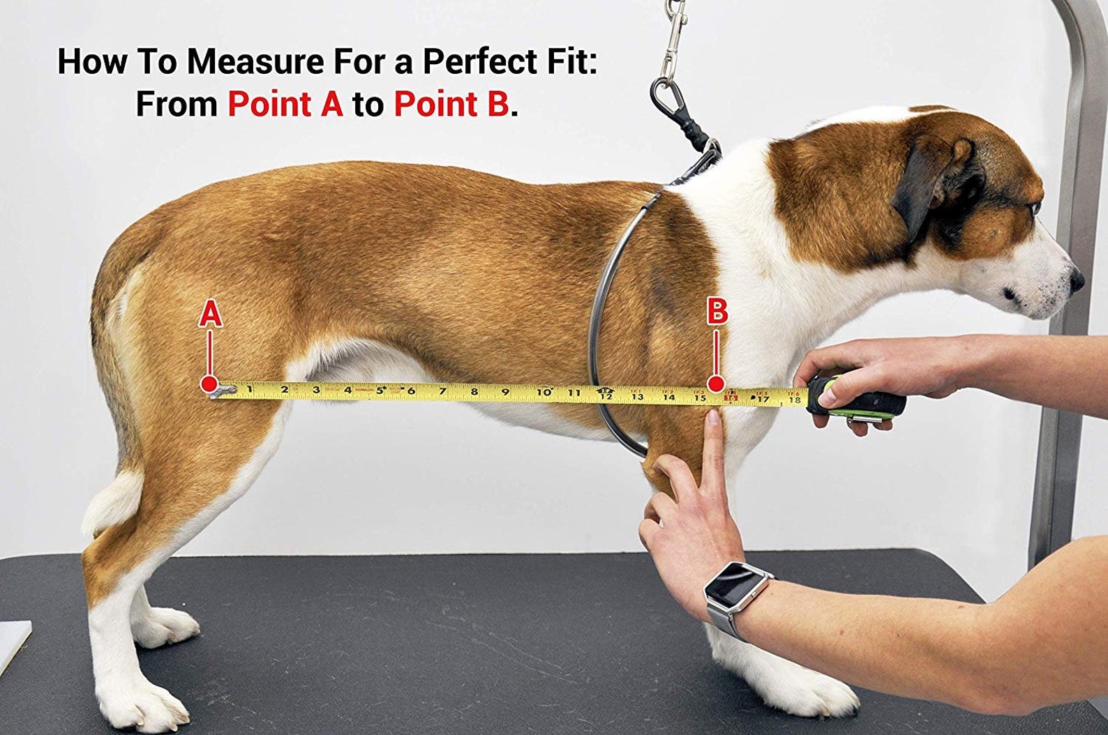 Large Breed Dog Grooming Hammock Sling Eazy Nail Triming Etsy