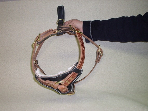 Leather Harness Police K 9 Schutzhund Ipo You Pick the Color Etsy UK