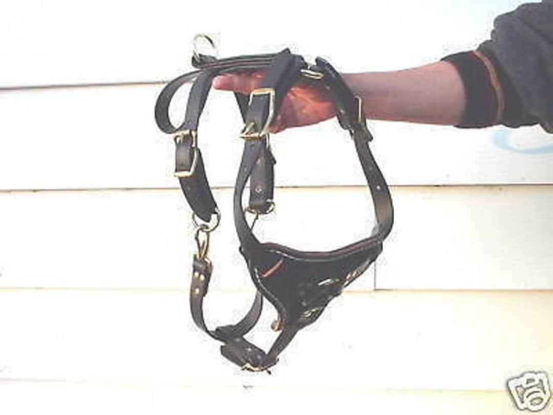 Biothane Harness Quick on and off Police K9 Ipo Schutzhund