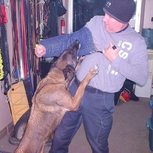 PSA euro style bite sleeve police k9 schutzhund malinois ring sport knpv mondio ring ipo