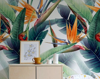 Tropical ThemeBirds of Paradise Designer Wallpaper Customised for Homes   lifencolors