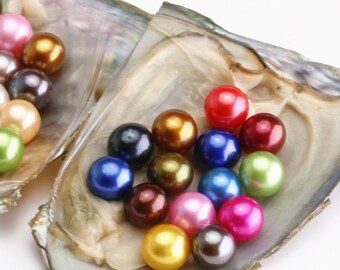 Natural Pearl Oysters Olive Color Pearl PB330 Oysters with 6-9mm Small Rice Drop Pearl Inside