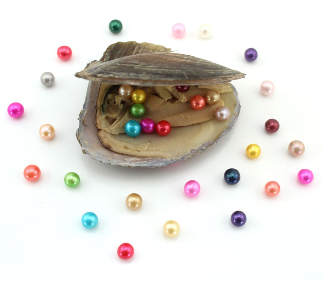 Wholesale Price 20pcs Pearl Oyster, 68MM AAAA Round Freshwater Pearl in Oysters, Open Oyster