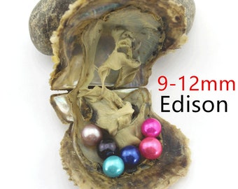 10PCS Saltwater Akoya Oysters,Oysters with 9-12mm Edison Pearls Inside,Round Edison Pearls in Oysters,Gift for Friends,Gift for Son/Daughter