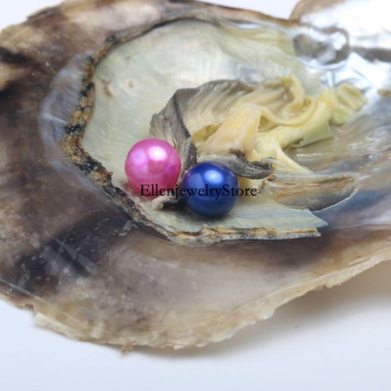 Twins Hot Saltwater Akoya Oyster with 2pcs Round Pearl 6-8mm Mixed Colors Twins Hot Saltwater Akoya Oyster with 2pcs Round Pearl 6-8mm Mixed Colors