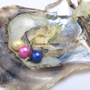 5pcs Triplets Oyster,6-8mm AAAA Round Pearls in Saltwater Akoya Oyster,Oysters with Pearls,Three Rainbow Round Pearls Inside Each Oyster,DIY