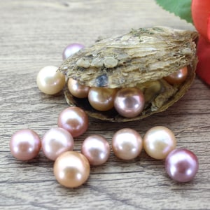 Akoya Oysters With Edison Pearl Inside, 9-12mm AAAA+ Natural Color Round Edison Pearl Oyster