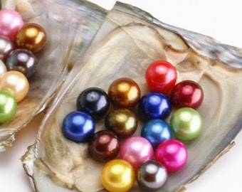 5PCS Freshwater Oysters, 10pcs Rainbow Round Pearls Inside Each Oyster, Mini Monsters, Freshwater Pearls, Oyster with Pearls, Gift for Her