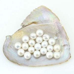 10PCS 6-8mm White AAAA Round Pearl Beads With No Hole,Natural Freshwater Pearls,Wholesale High Quality Pearls,Pearls Supply,DIY Jewelry-C#7