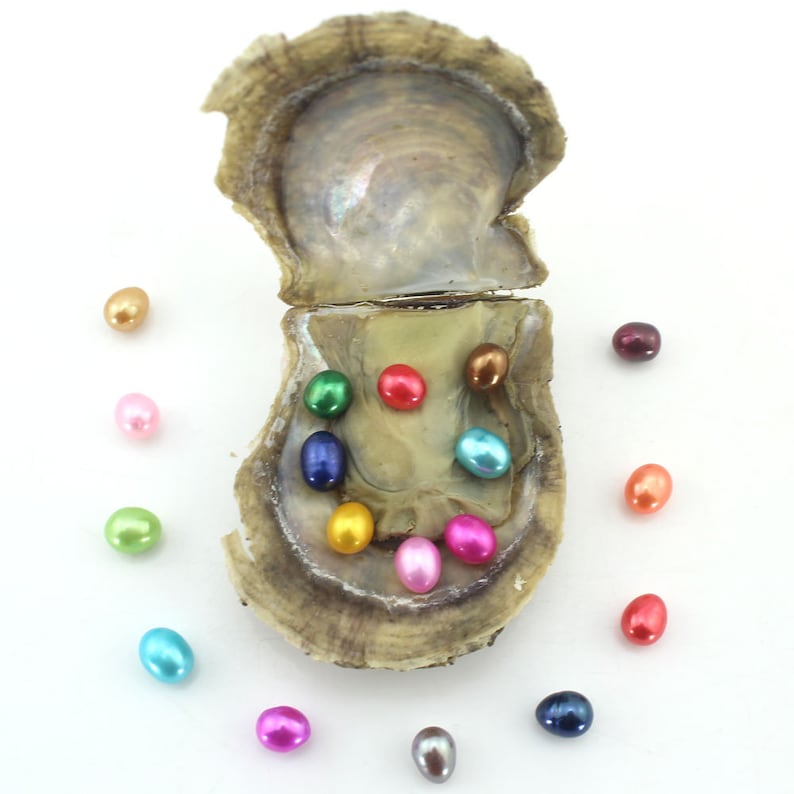 Twins Hot Saltwater Akoya Oyster with 2pcs Round Pearl 6-8mm Mixed Colors Twins Hot Saltwater Akoya Oyster with 2pcs Round Pearl 6-8mm Mixed Colors