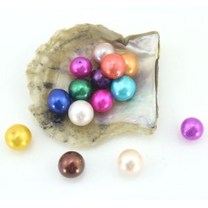 50 Stück Großhandel 9-12 mm Edison lose Perlen Perlen, mehrfarbige runde Perlen ohne Loch, ungebohrte Perle Versorgung, DIY Perlen Schmuck