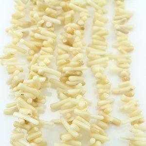 May include: A strand of off-white coral beads. The beads are long and thin, resembling small sticks. The beads are strung together to create a necklace or bracelet.