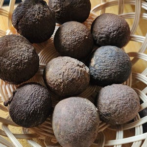 Organic Black Walnuts 2 lbs. Whole Husk Fresh Nuts 2025 Tinture Health