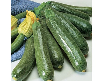 Zucchini Dark Green Squash Seeds | Non-GMO | Free Shipping | Seed Store | 25 Zucchini Seeds | Vegetable Seed