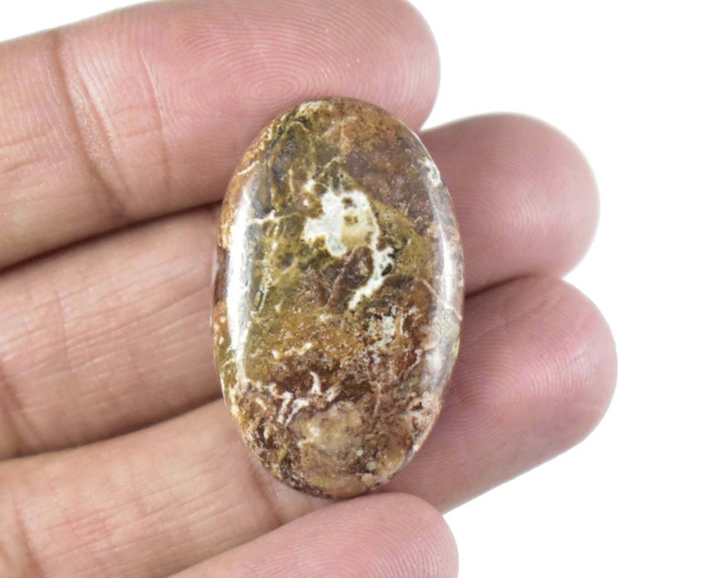 Wild Horse Jasper Cabochon