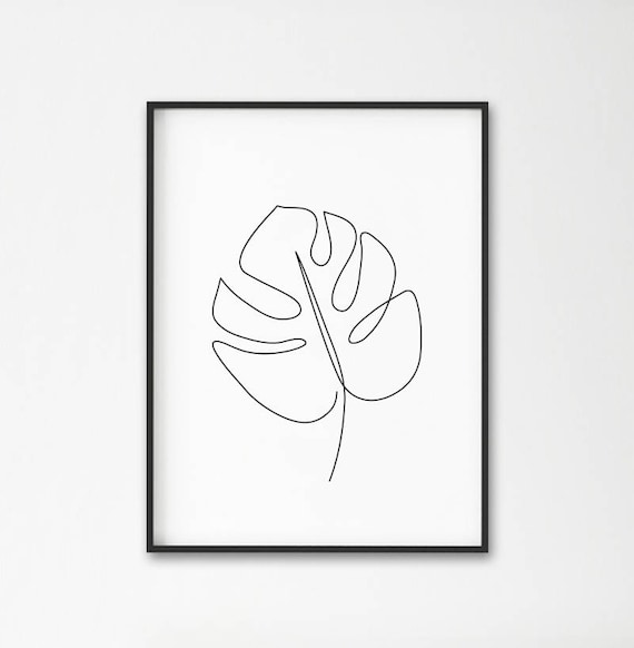 monstera bekommt keine löcher Tipps zur Pflege deiner Pflanze : Monstera deliciosa – PflanzenFuerAlle main image 0