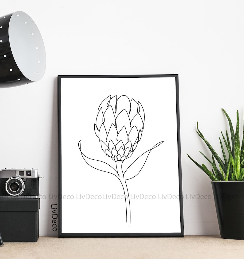 Protea flower one line drawing art Botanical wall decor  Etsy