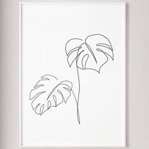 May include: A black and white line drawing of two monstera leaves.