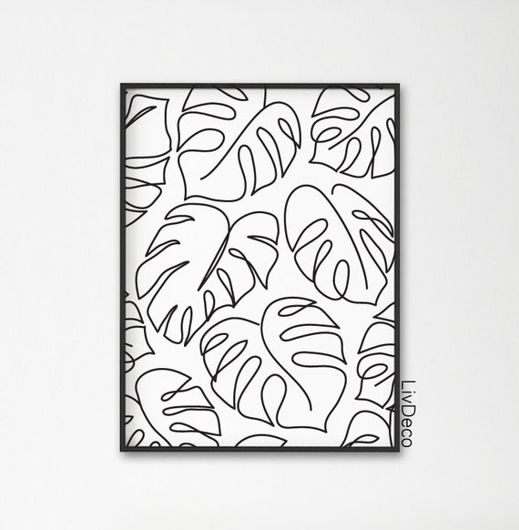buy monstera Deliciosa Monstera main image 0