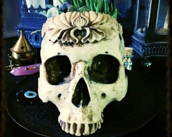 Skull Planter/ skull pot/ witchy decor/ goth decor /Halloween