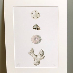 Signed print of Coral and Urchins on luxurious paper.