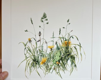 Signed square giclee print ‘Flowers not Weeds’.