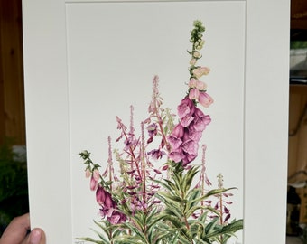 Beperkte oplage, gesigneerde ‘Foxgloves in the Willowherbs’ giclee print.
