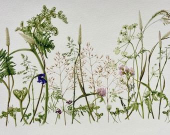 Limited edition, signed ‘Wildflower Meadow’ giclee print.