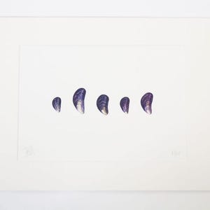 Signed coastal inspired print of Mussel shells.