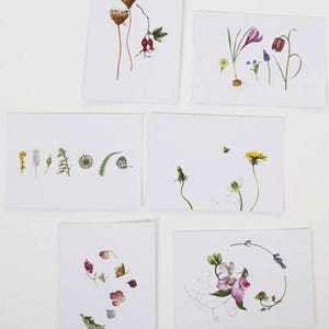 Paquete mixto de 6 postales botánicas.