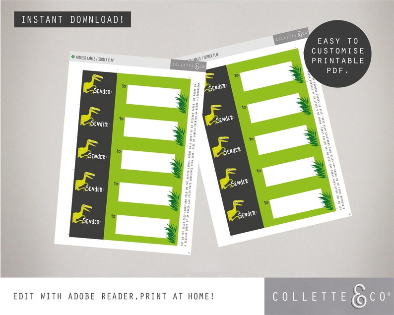 Printable Dinosaur Party INVITATION Thank You Card Free Address Labels ...