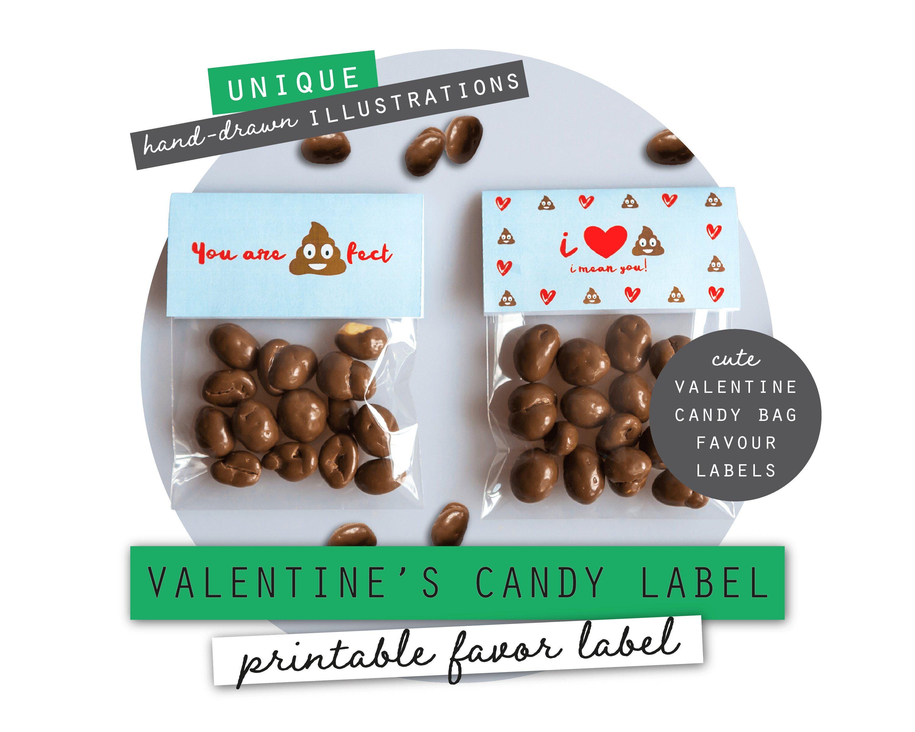 23 Valentine's Day Printable Bottle Labels for Festive Fun 21 Valentine's Day Candy Bag Label Printable Gift Treat Bag Topper…