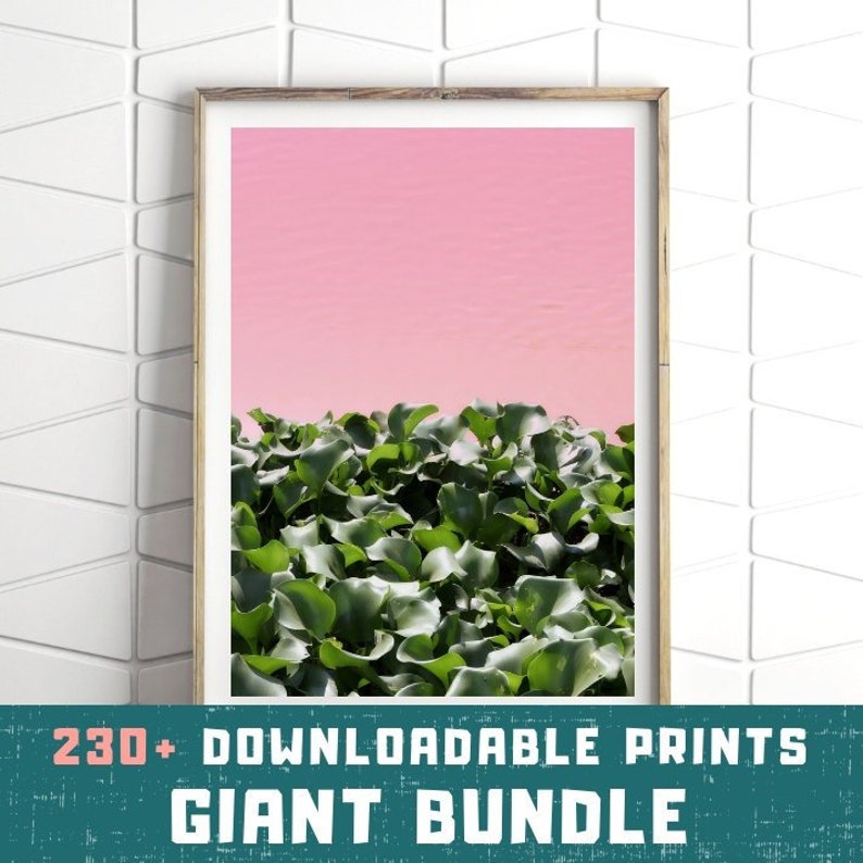 Botanical Print Pink Print Wall Art Leaves Pink Wall Art Boho Prints Greenery Wall Art Bohemian Printable Modern Botanical Print
