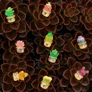May include: A collection of colorful miniature succulent figurines in various shades of green, pink, and yellow, each housed in a small, clear pot. The figurines are arranged on a bed of dark brown succulent plants.