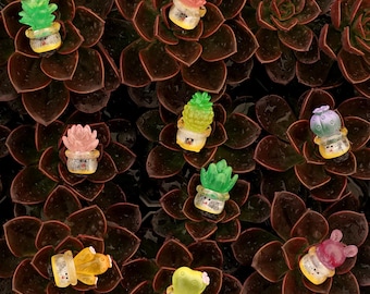 Tapones de válvula de neumático con diseño de suculentas que brillan en la oscuridad - Accesorios para coche, moto y bicicleta