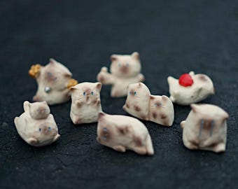 Tapones de válvula Sweet Cat para neumáticos de coches, motocicletas y bicicletas.