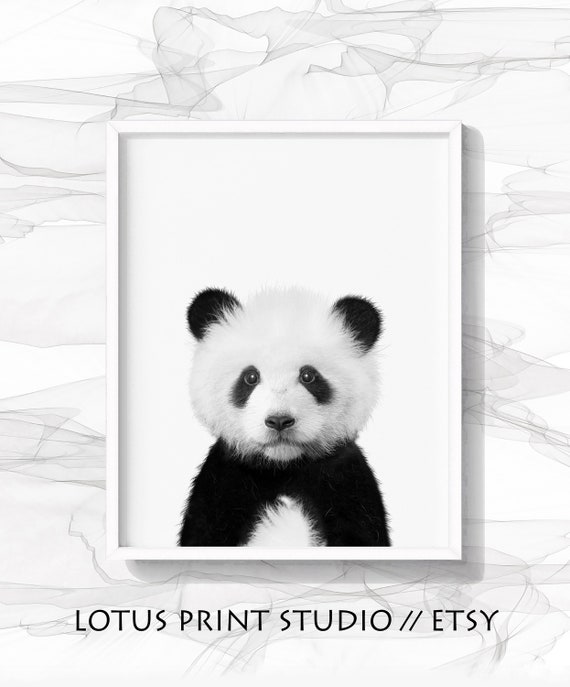 Baby Panda Bear Print Black And White Panda Nursery Art Etsy Baby Panda Bear Print Black And White Panda Nursery Art Etsy
