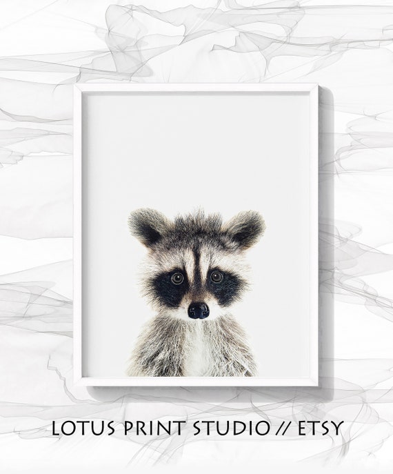 raccoon nursery decor