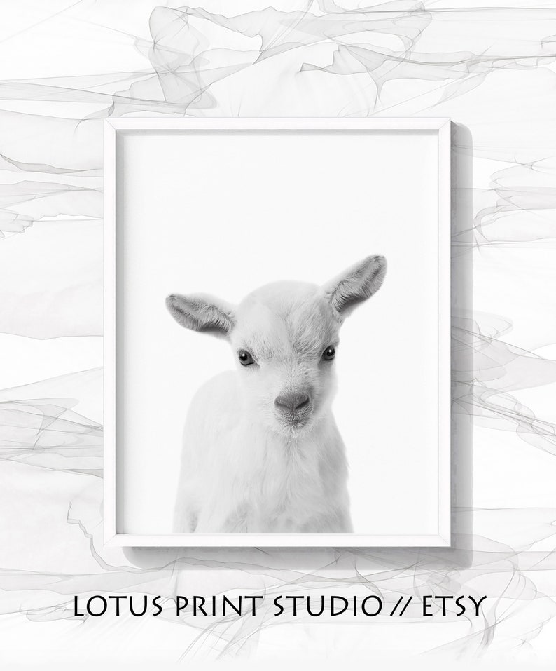 Lamb Print Nursery Animal Wall Art Black and White Wall Etsy