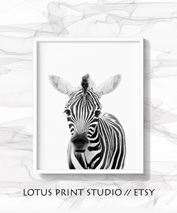 Affiche Zebre Noir Et Blanc Impression De Zebre De Pepiniere Etsy