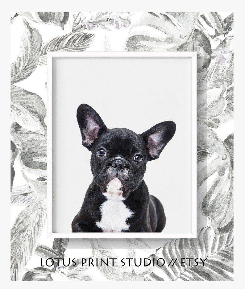 Bull Dog Print Puppy Wall Art Nursery Printable Art Animal Etsy