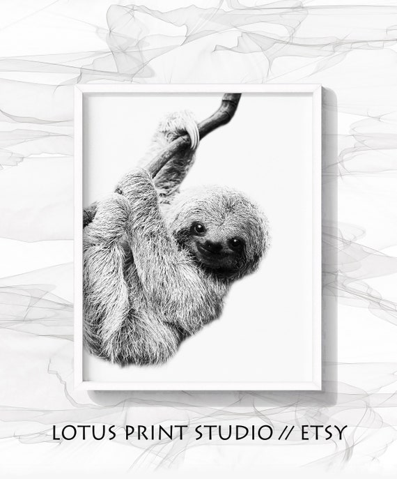 Impression De Paresseux Noir Et Blanc Art Mural De Crèche | Etsy France