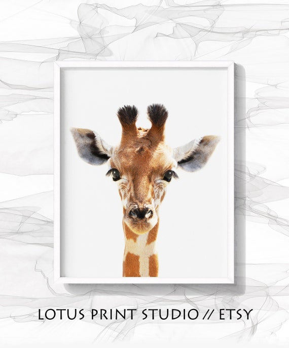 baby giraffe wall art