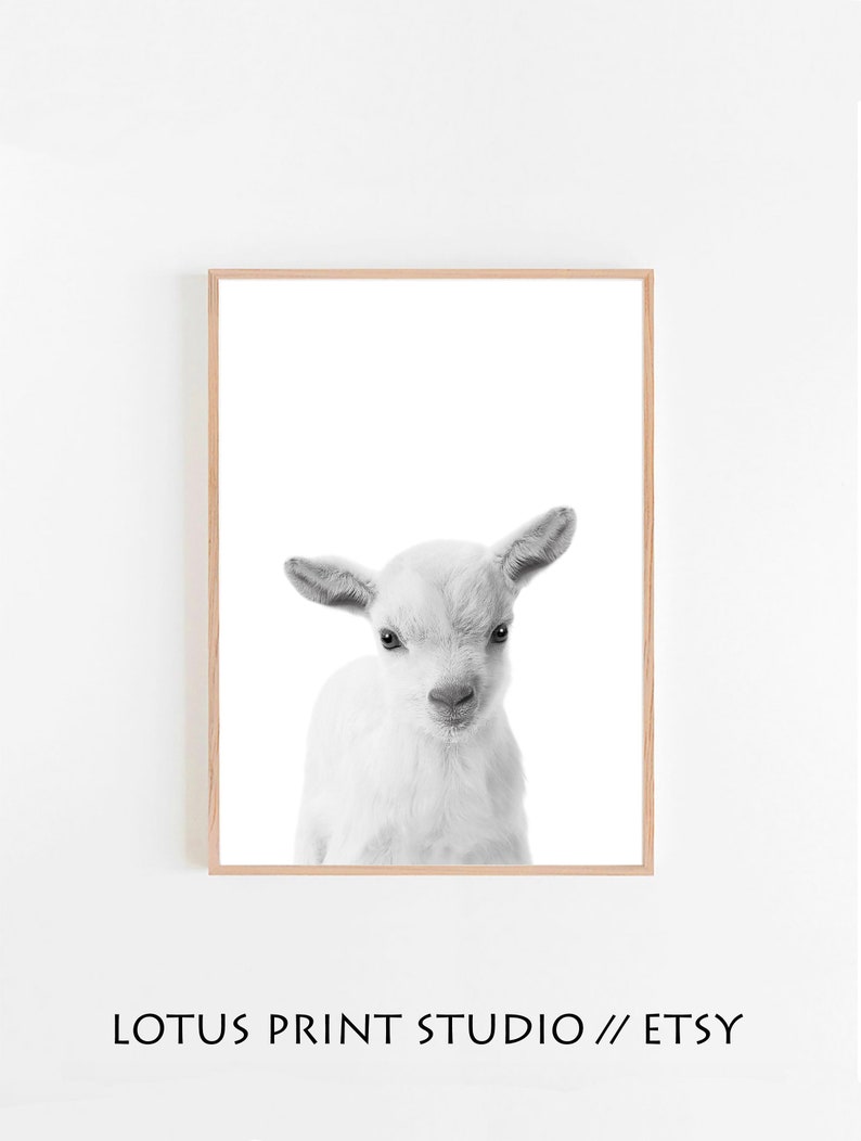 Lamb Print Nursery Animal Wall Art Black and White Wall Etsy