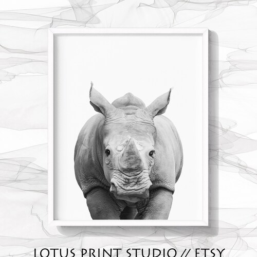 Kitten Print Nursery Baby Animal Wall Art Large Poster Etsy