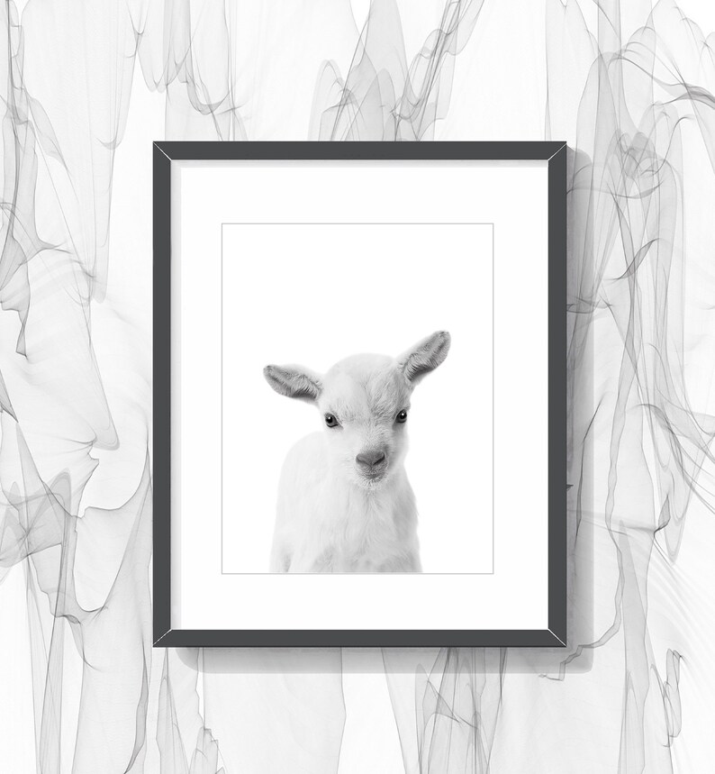 Lamb Print Nursery Animal Wall Art Black and White Wall Etsy
