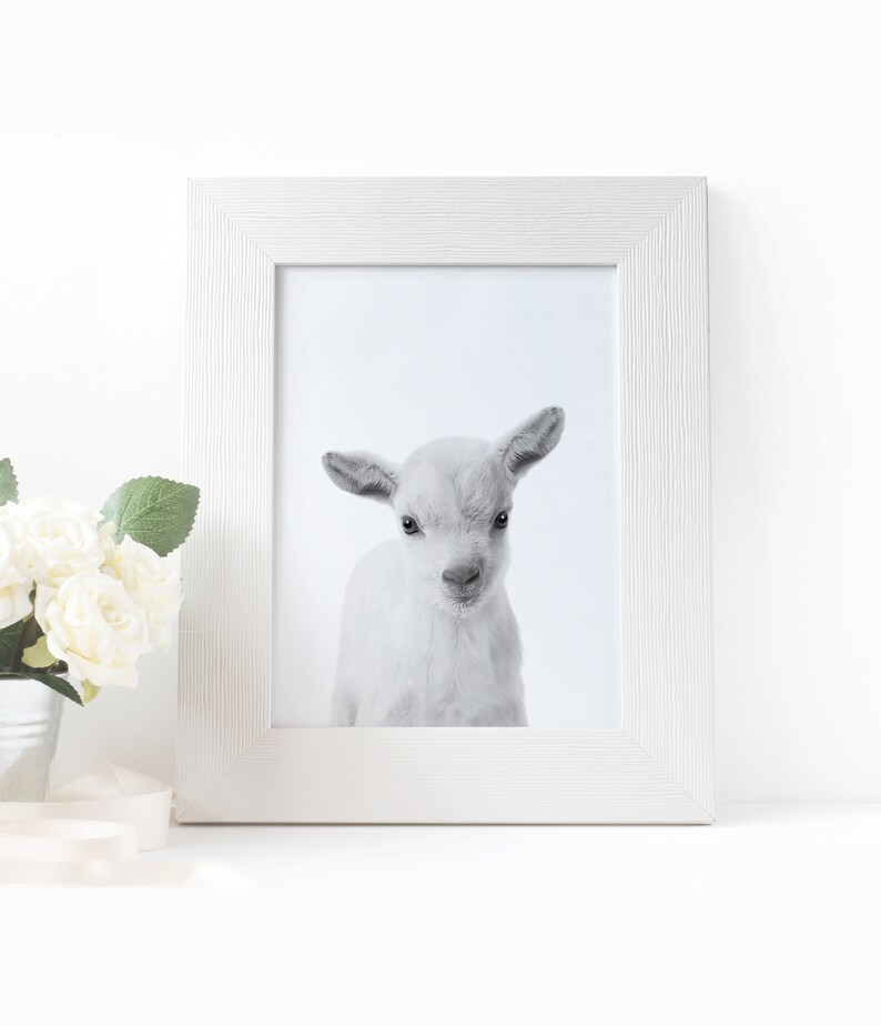 Lamb Print Nursery Animal Wall Art Black and White Wall Etsy