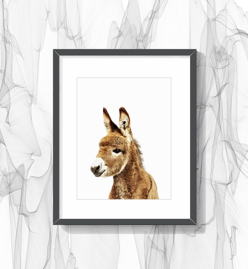 Donkey Print Baby Donkey Wall Decor Donkey Poster Nursery Etsy