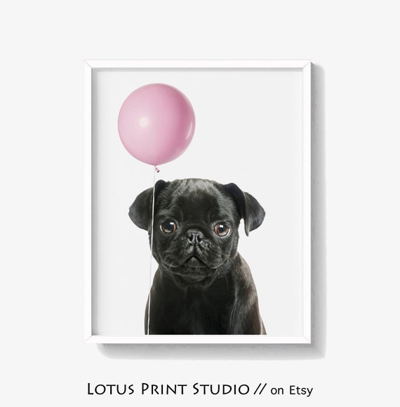 Bebe Pug Vivero Animal Perro Impresion Con Globo Rosa Arte De Etsy