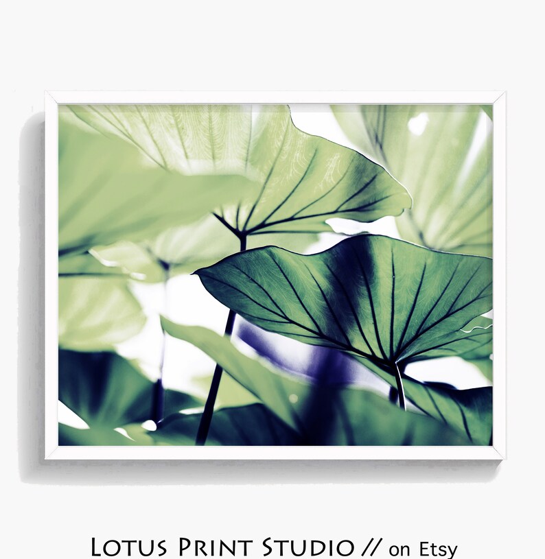 Lotus Print Leaf Wall Art Green Botanical Abstract Plant Nature Decor Printable Instant 322